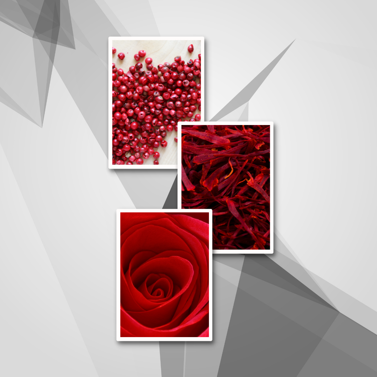 Endless Perfumes Rose Carnival